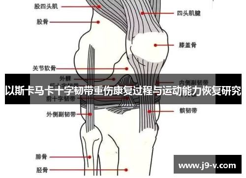 以斯卡马卡十字韧带重伤康复过程与运动能力恢复研究